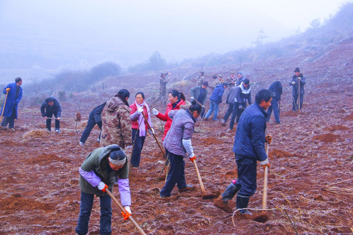 微信投票员免费入职太老实且性格内向