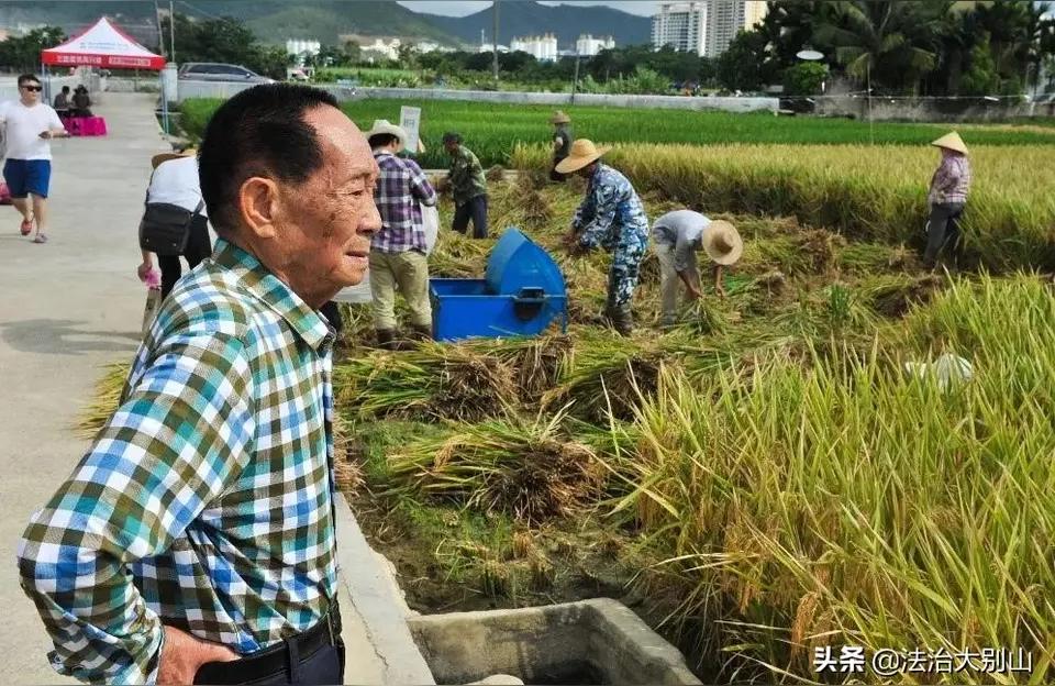 让别人微信投票怎么说怎么把微信公众号的投票活动发到朋友圈