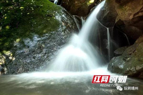 叮咚投票平台楼上不分时间段的无休止噪音