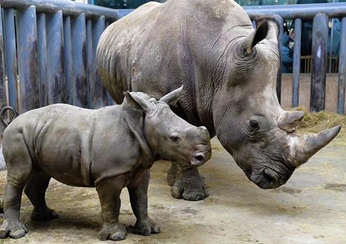 犀牛投票平台登录各省博物馆镇馆之宝是什么