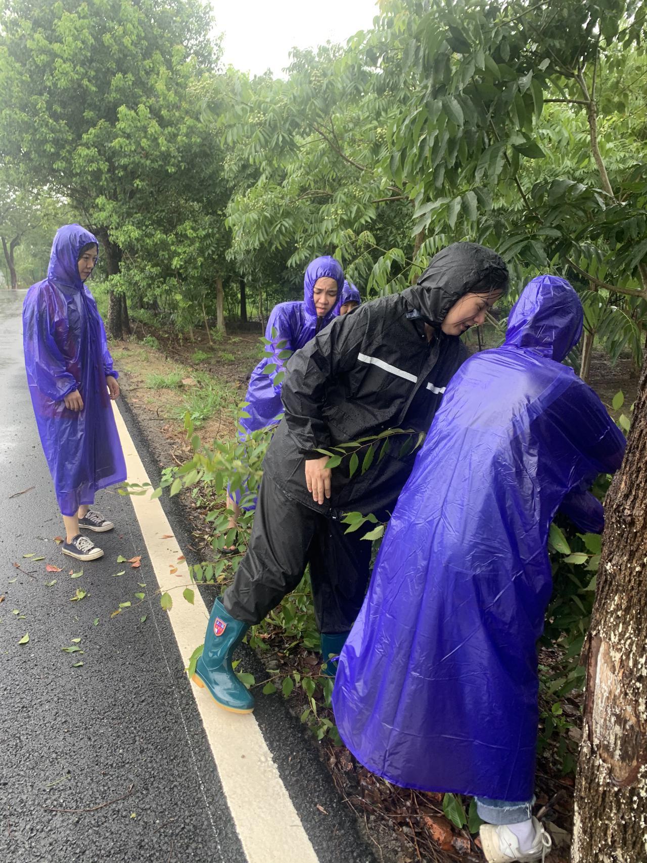 微信不是好友点赞封面微信上的好友我怎么赞不了他的封面