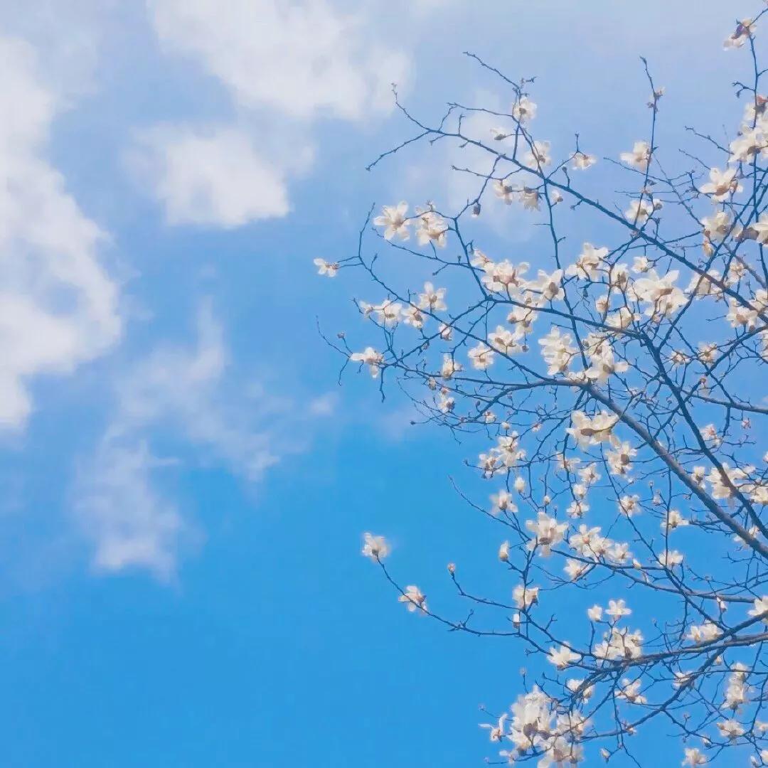 微信怎么取消点赞记录你们的手机有什么绝对不卸载的软件