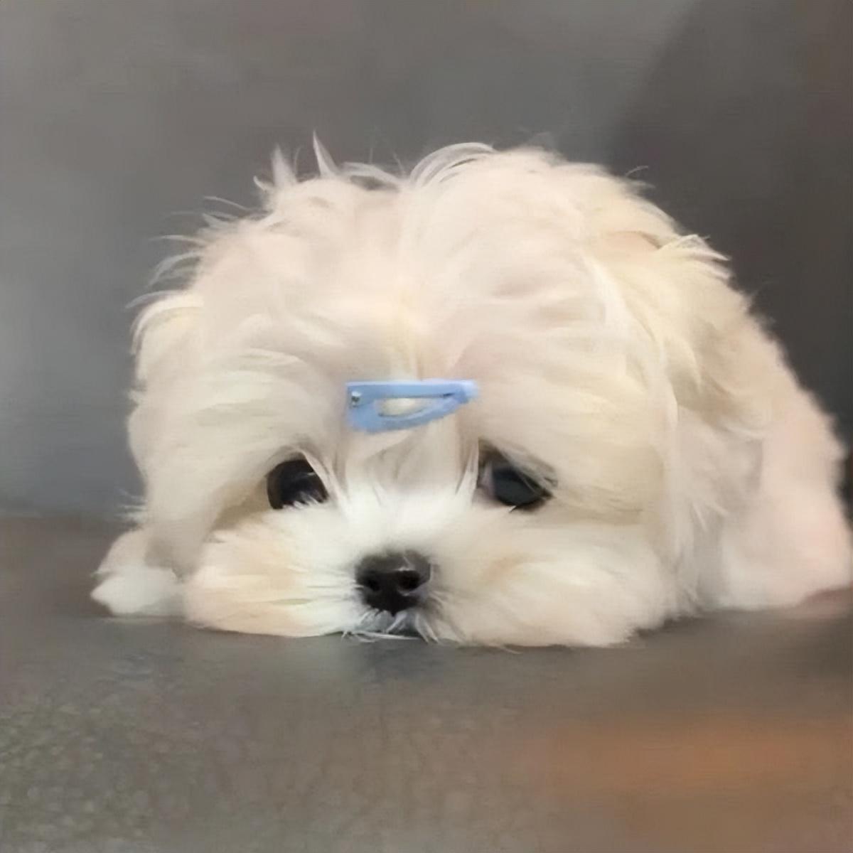 怎么看微信点赞记录能分享一句你特别喜欢的沙雕句子吗