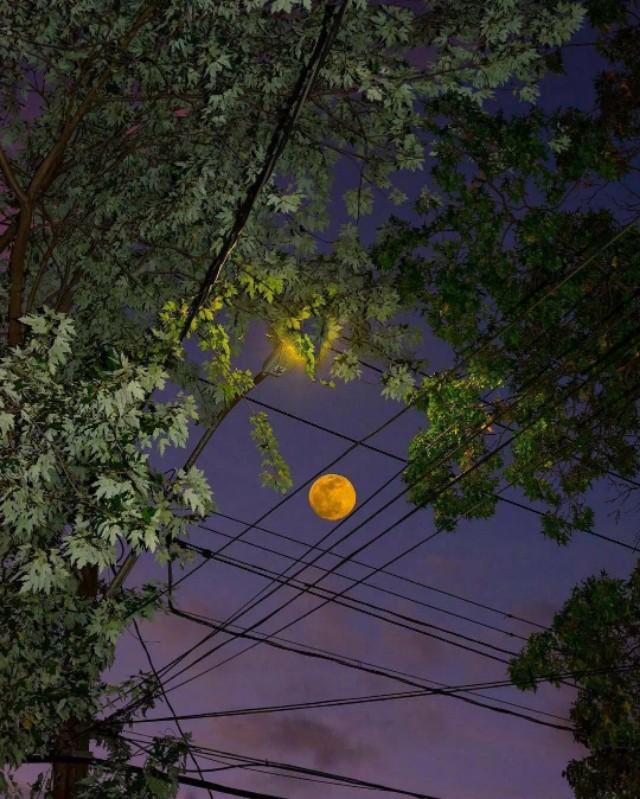 微信怎么点赞朋友圈微信朋友圈里广告怎么有朋友点赞