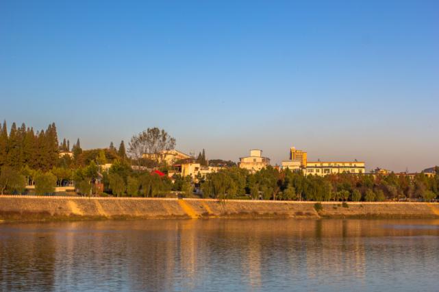 视频投票平台在线调研系统平台有哪些