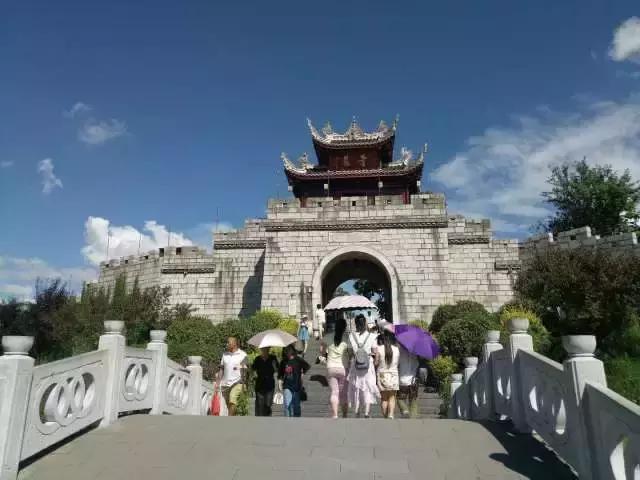 微信263投票平台等丁奉姜维和南中的援军