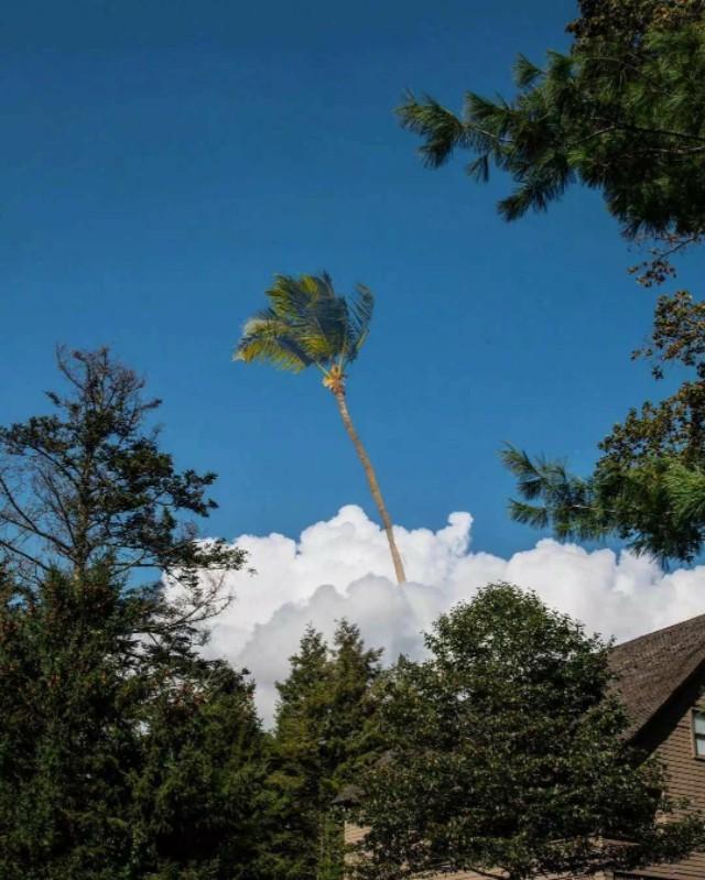 微信点赞有什么好处微信获得极大成功的原因是什么