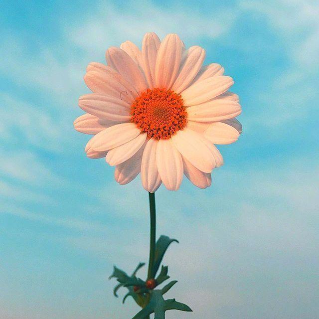 微信点赞文案求点赞幽默文案