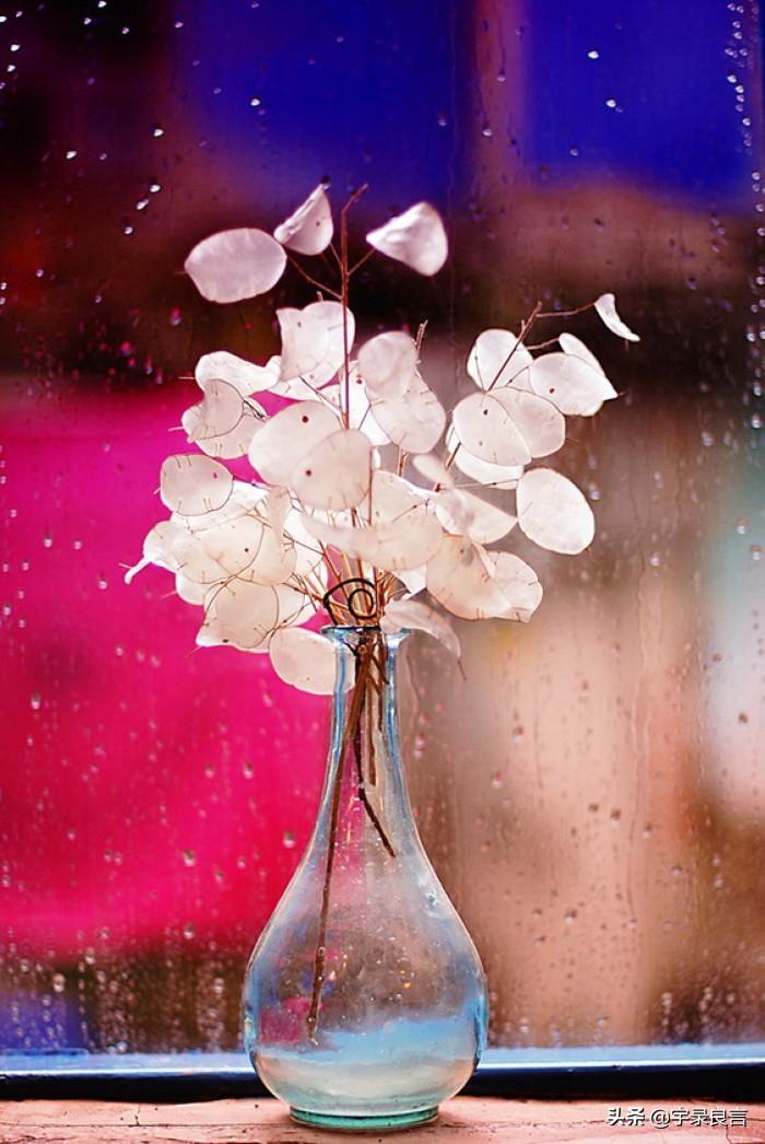 微信求点赞的句子你知道的合法暴利行业有哪些