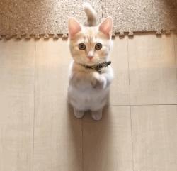 微信点赞动态表情抖音点赞变成了互动消息咋回事