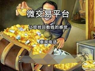 微信投票公司微信投票哪个平台好