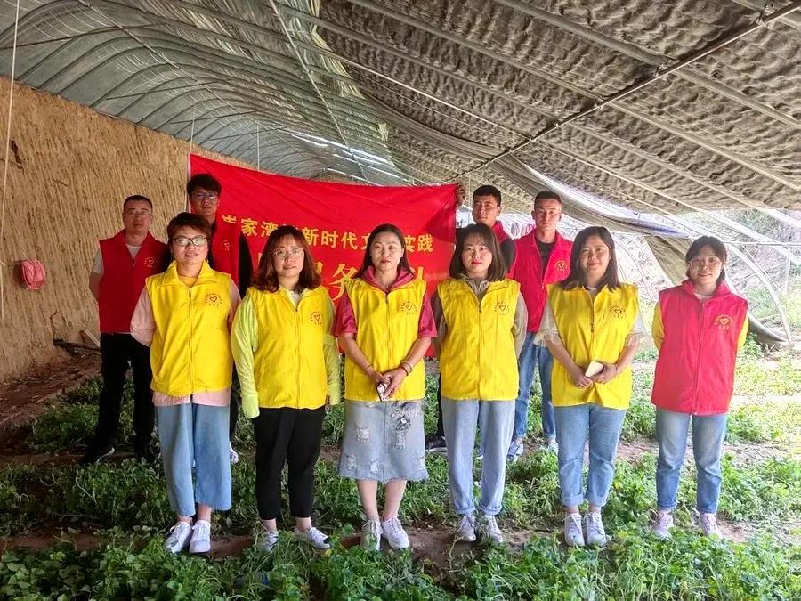 投票点赞群最新盼了一夜的孟晚舟没有回来