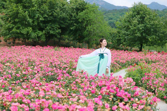 各种点赞如何看待从来不给你点一个赞的人