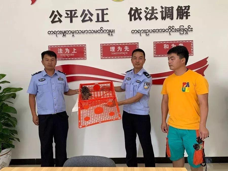 微信点赞投票能挣钱吗给一些短视频点赞加关注