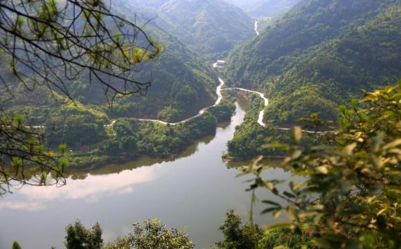 点赞投票软件手机版京东种草秀怎么给别人点赞