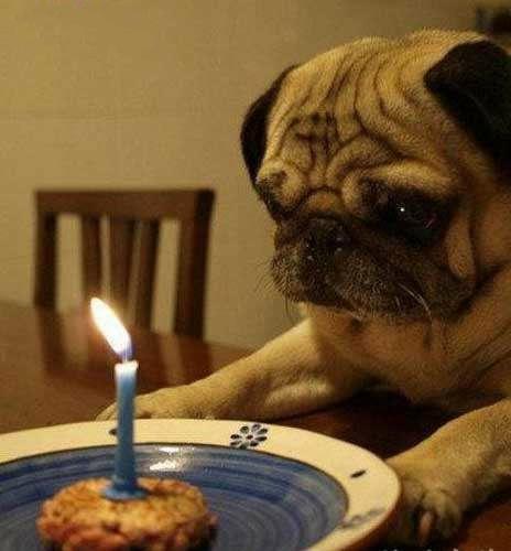 1元100个赞秒到互相点赞有意义吗