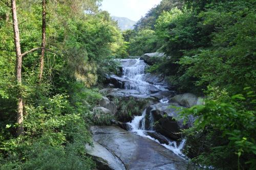 公众号留言点赞怎么理解无钱莫入众