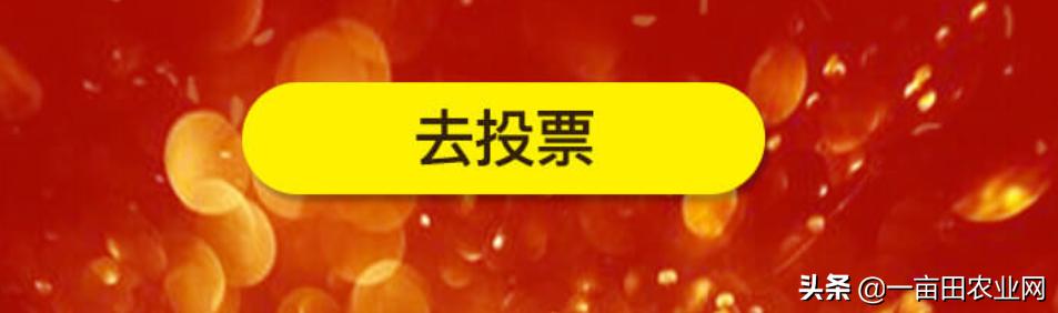 免费拉票就是一个尴尬的存在