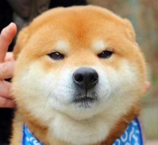 怎么查历史删除好友如果把微信里的朋友暂时删除一下