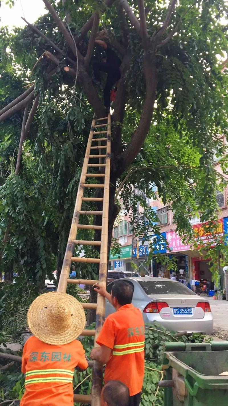 怎样恢复微信朋友圈点赞记录以前朋友圈的点赞和评论还在