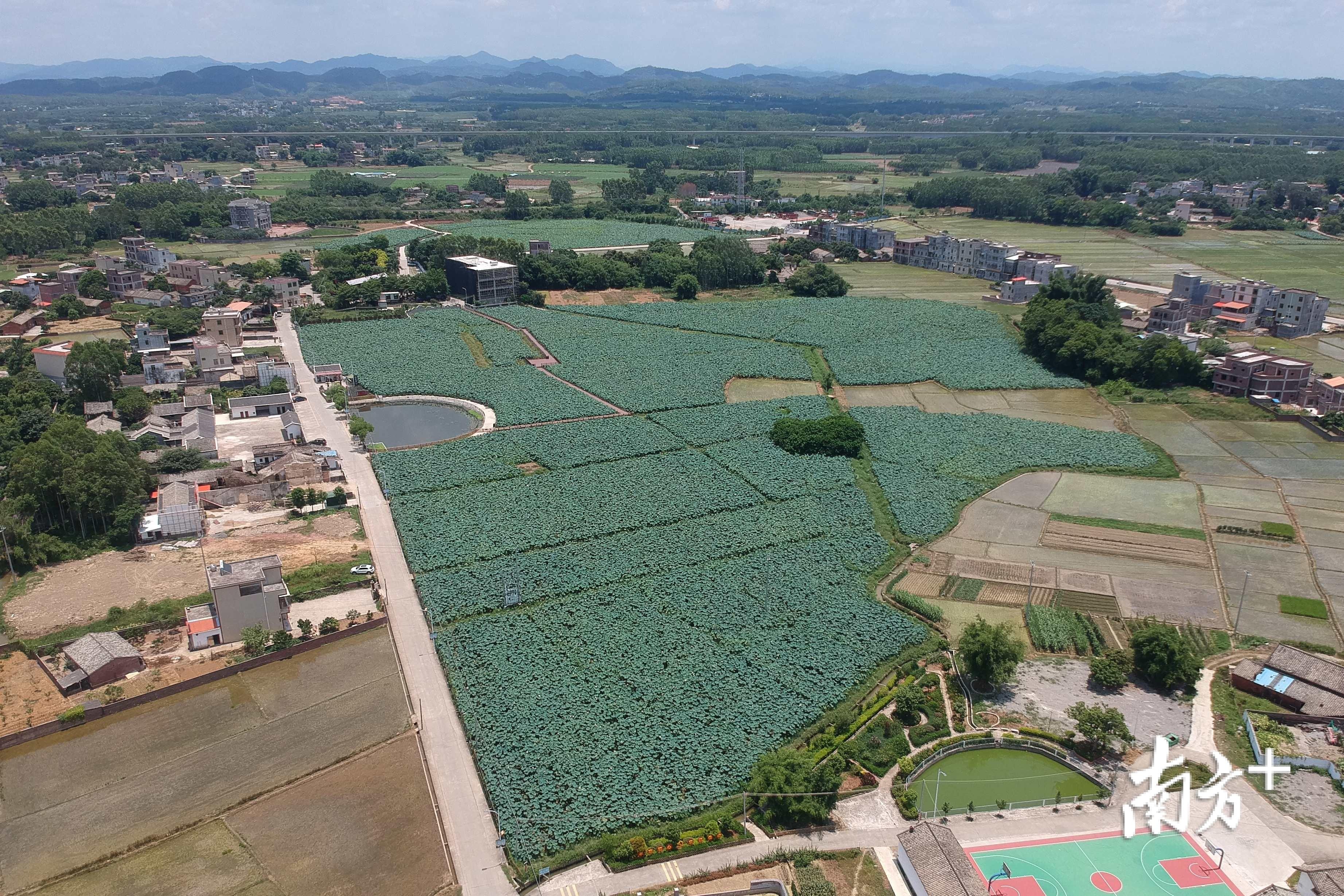 链接点赞投票诗词比赛以点赞排名合理吗