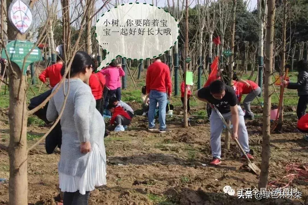 点赞网站免费有哪些免费的视频教学网站自学网站推荐