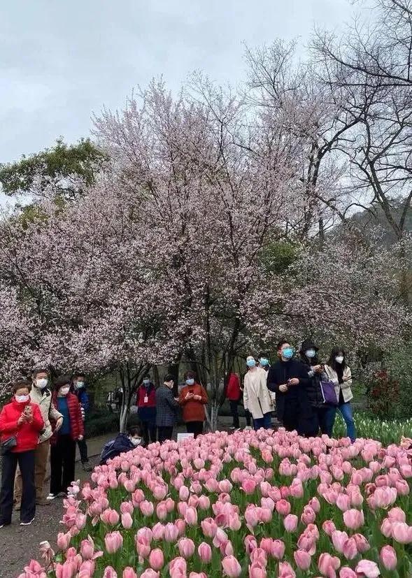 0.1元10000个赞你知道哪些轰动一时的悬案