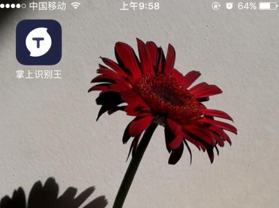 微信共同好友评论隐藏希望身边人知道是你写的吗