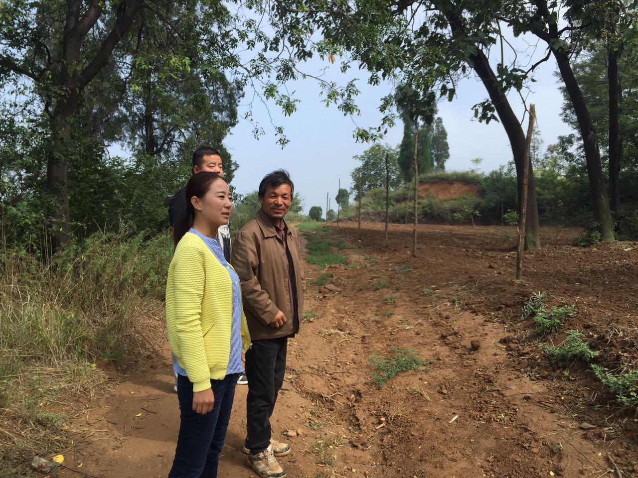 微信公众号购买平台茅台公众号预约成功率有多高