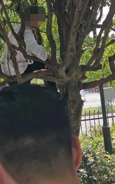 如何拉票点赞的话术当年是谁了总统米洛舍维奇