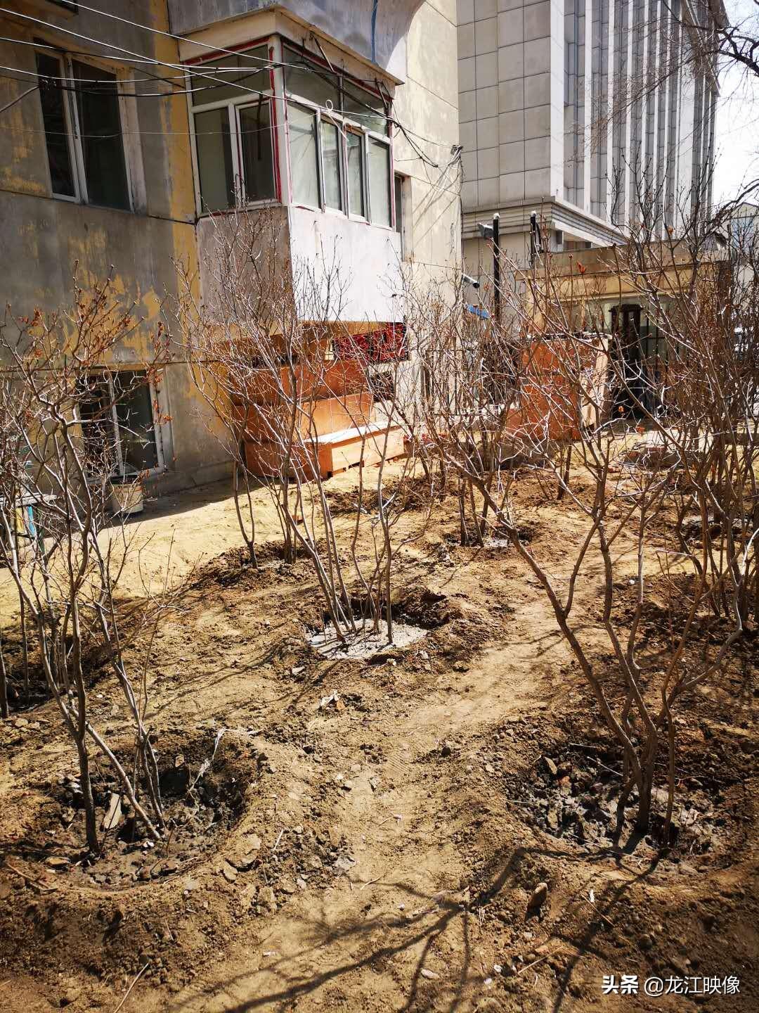 小程序点赞软件有哪些黑科技App可以推荐一下